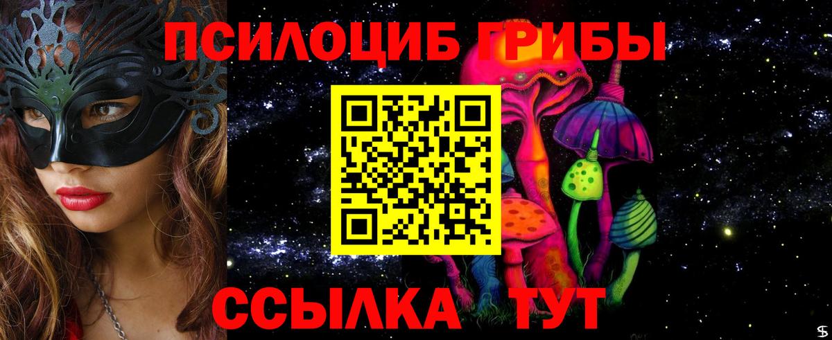 купить наркоту  Вход с VPN  Галлюциногенные грибы MAGIC MUSHROOMS  Киселёвск  Псилоцибиновые грибы MAGIC MUSHROOMS 